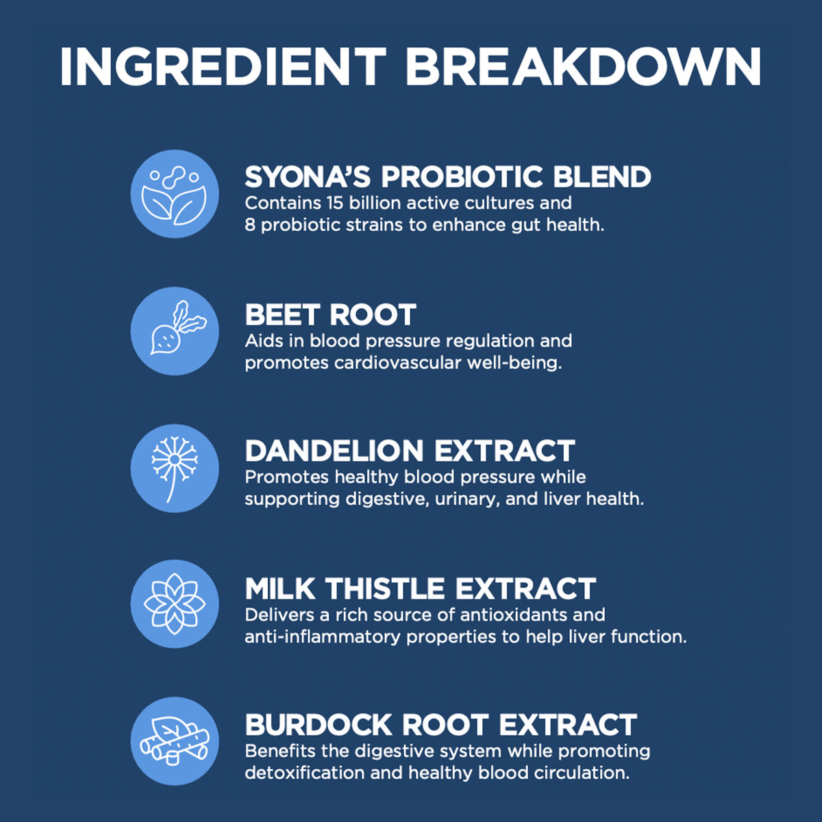 PROBYO: Restore Your Internal Balance - Image 3