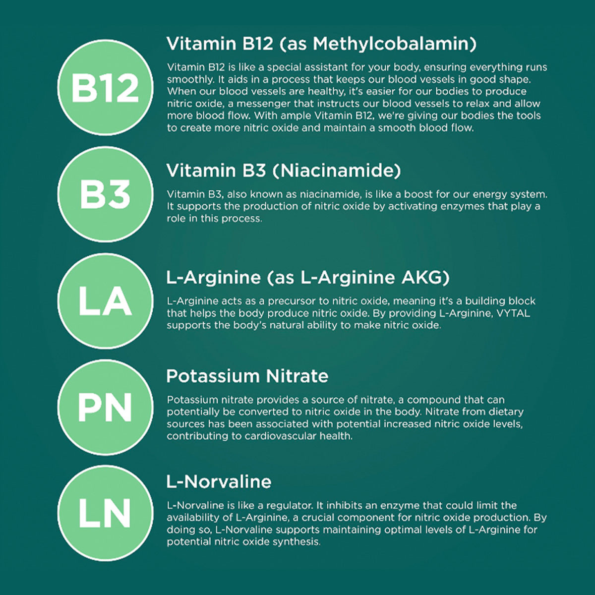 VYTAL: Nitric Oxide Boosting Spray - Image 2